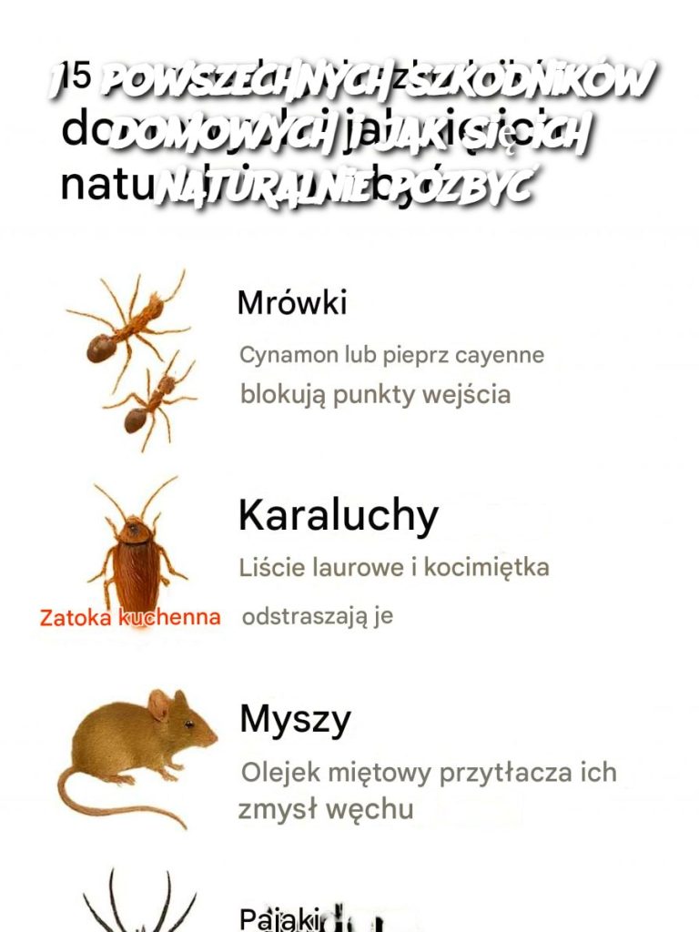 15 powszechnych szkodników domowych i jak się ich naturalnie pozbyć
